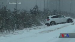 Жахливі наслідки потужного арктичного циклону на східному узбережжі США, Канади і Мексики. Відео