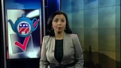 "Choychilar" harakati va Amerikadagi saylovlar - Tea Party/Elections