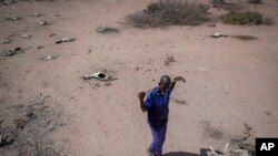 Пастух Юсуф Абдуллахі проходить повз трупи своїх сорока кіз, які померли від голоду у Дерту, округ Ваджір, Кенія, 24 жовтня 2021 року. (AP Photo/Brian Inganga, File)