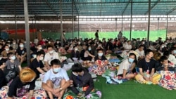 အွန်လိုင်းငွေလိမ်ဂိုဏ်းက နိုင်ငံခြားသားတွေကို ကယ်တင်ခဲ့ကြောင်း BGF သတင်းထုတ်ပြန်