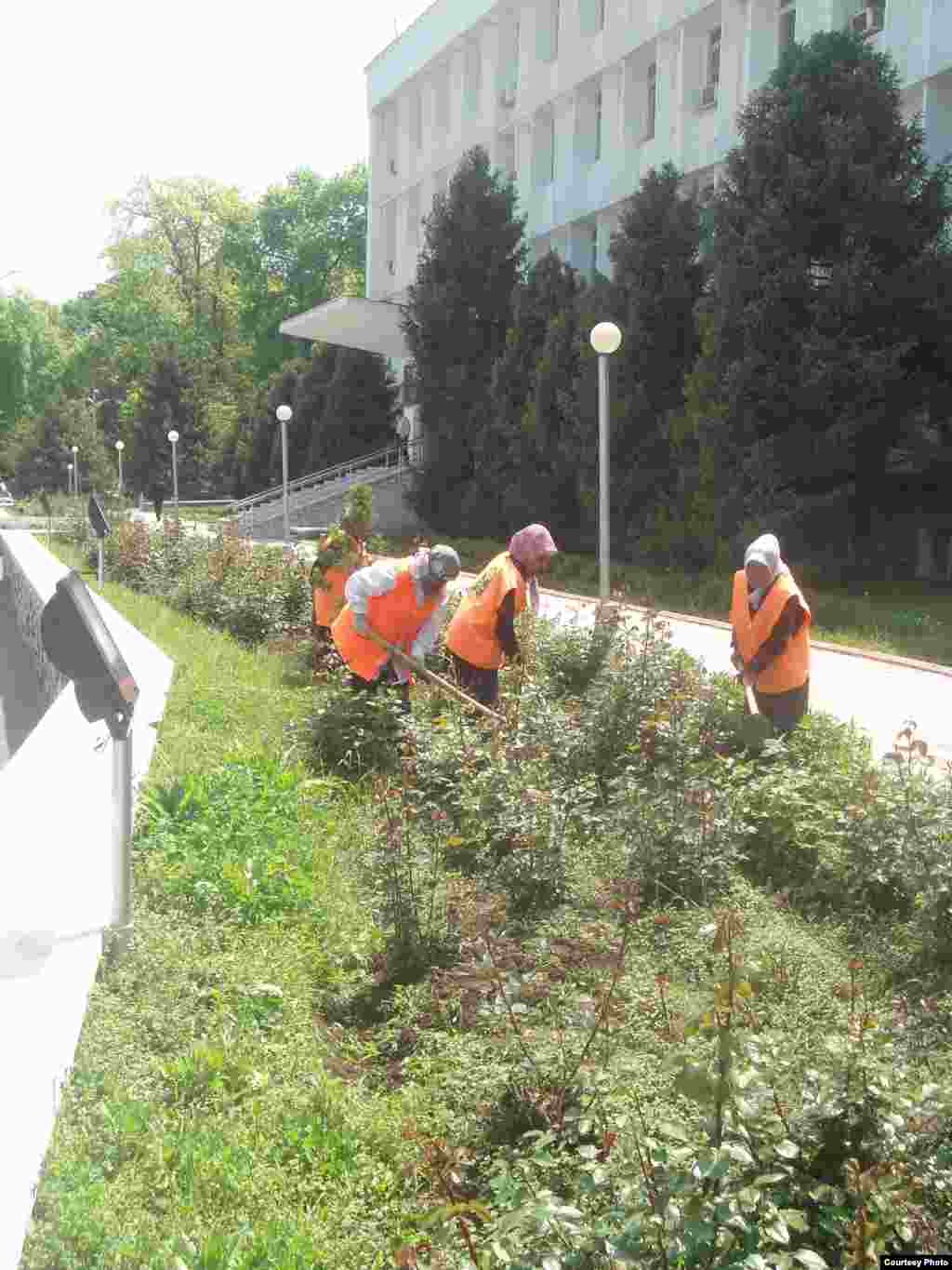 Kunlar isib, shahar ishchilari ko'chalarda gulzorlarni tartibga keltirmoqda.
