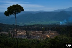 Area pembukaan lahan dekat hutan lindung di Tangse, Aceh. Gajah sumatera adalah spesies yang sangat terancam punah dan menghadapi ancaman dari perburuan liar dan deforestasi yang merajalela. (Foto: AFP)