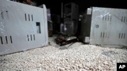 13 Aralık 2024 - Captagon olarak bilinen ve elektrik aksamların içine gizlenmek üzere hazırlanan amfetamin hapları, Beşar Esat hükümetinin düşmesinden önce Suriye'nin başkenti Şam'ın dış mahallelerinden Duma'daki bir tesiste uyuşturucunun üretildiği depoda görülüyor.