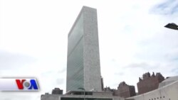 Gulnoza Said: Vatandoshlar katta potensialga ega