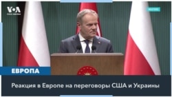 Переговоры США и Украины: реакция Европы 