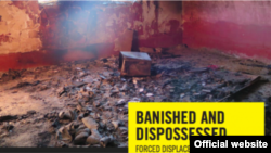 "Xalqaro amnistiya" tashkilotining Iroqqa oid yangi hisoboti