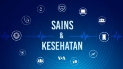 Pemanasan Global Resmi Lampaui Ambang Batas 1,5 Derajat Celsius pada 2024