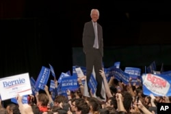 FILE - Supporters display a cardboard cutout of Democratic presidential candidate, Sen. Bernie Sanders, I-Vt., at a campaign rally in Miami, Florida, March 8, 2016.