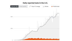 ტესტირების მაჩვენებელი, წითლად - დადებითი პასუხები