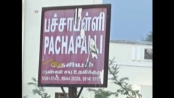 Rampaging Elephant Destroys Buildings in Indian Village