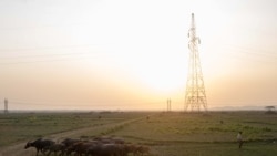 မြန်မာ-ဘင်္ဂလားဒေ့ရ်ှ နယ်စပ်ကုန်သွယ်မှု ယာယီထပ်မံရပ်နား