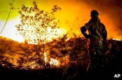 آتش‌سوزی‌های جنگلی فرانسه