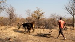Aumetam avisos de fome devido a seca no Namibe – 2:43