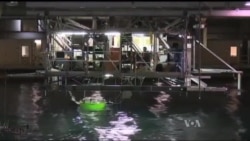 Американські вчені працюють над технологіями, які перетворюватимуть силу океанських хвиль на електроенергію. Відео