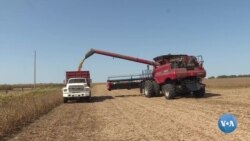 Yordam olgan fermerlar Trampni quvvatlaydi