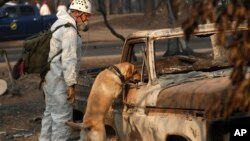 Spasilačke ekipe tragaju za žrtava razornih požara u Kaliforniji (Foto: AP/John Locher)