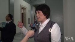 华裔社团于国会山声援被解职华裔科学家陈霞芬