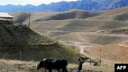 Tojikiston bir parcha yerini Xitoyga hadya qildi