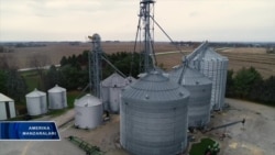 AQSh-Xitoy: fermerlar savdo urushidan norozi