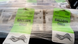 Više od 50 država na svetu ima ključne izbore 2024. 