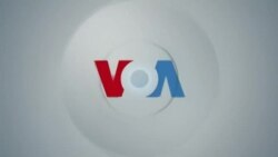 Visión 360: Cambio de mente ante el cambio climático
