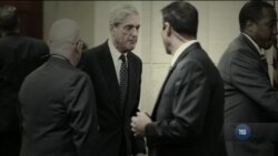 Активізація розслідування російського втручання у вибори в США – подробиці. Відео