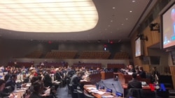 BMTda Orol dengizi muammosi muhokama qilindi