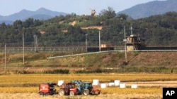 Military guard posts of North Korea, top, and South Korea, center, in Paju, South Korea, near the border with North Korea, Oct. 15, 2019. South Korea is deploying snipers, installing traps and flying drones along the border to kill wild boars.
