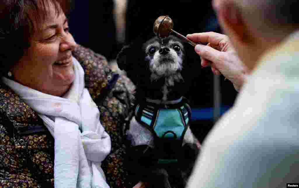 A priest blesses a dog at San Anton Church during celebrations on the feast of Spain's patron saint of animals, Saint Anthony, in Madrid, Spain.