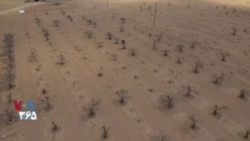 ویژه برنامه: مستند طغیان خشکی