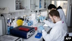 Researchers work on a vaccin against the new coronavirus COVID-19 at the Copenhagen's University research lab in Copenhagen, Denmark, on March 23, 2020. 