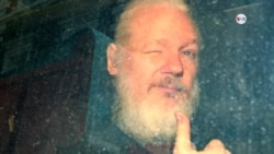 ¿Primera enmienda estadounidense podría proteger a Assange?