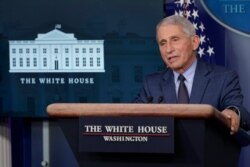 Doctor Anthony Fauci, director del Instituto Nacional de Alergia y Enfermedades Infecciosas, encargado de la lucha contra el coronavirus en la administración del presidente Joe Biden. Foto de archivo.