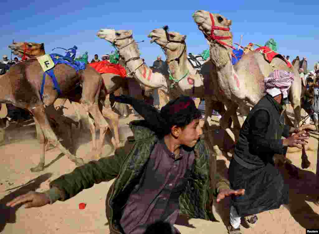 Bedouin breeders run away from camels ridden by robot jockeys during the start of the Ismailia Camel Racing Festival which is known as "Sebaq Al-Hagen" in Arabic, at the Sarabium desert in Ismailia, Egypt.