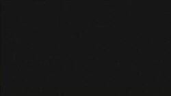 Washington Fora d’Horas