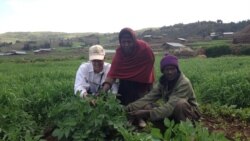 ድርቅን የመቋቋም አቅም የሚያጎለብት የዩናትድ ስቴትስ እርዳታ ፕሮግራም በወሎ