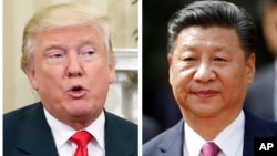FILE - A combination photo shows U.S. President-elect Donald Trump, center, Nov. 10, 2016, and China's President Xi Jinping, Nov. 22, 2016. 