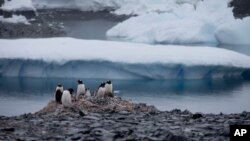APTOPIX Antarctica Glacial Melting