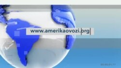 Kinolentalar xazinasi