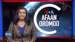 Tamsaasa Guyaadhaa Guyyaa