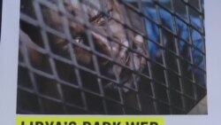 ሃገራት ኣውሮጳ ብሓፈሻ ብፍላይ ድማ ኢጣልያ ንስቅያት ብ ኣሽሓት ዝቑጸሩ ኣብ ሊብያ ዝርኸቡ ስደተኛታት ተሓተቲ’ዮም ክብል ኣምንስቲ ኣፍሊጡ