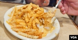 Springfield's famous "horseshoe" at D'Arcy's Pint