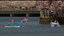 Obama va qurollar/Obama -Guns