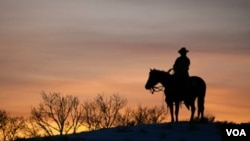 Los vaqueros prefieren las botas altas, para la protección y con puntas, porque encajan mejor en los estribos.