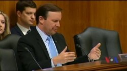 Останні слухання у Сенаті: військова та інша допомога Україні має бути пріоритетом політики США. Відео