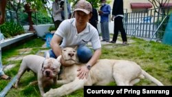 ម្ចាស់​ជនជាតិ​ចិន ស្វាគមន៍​សត្វតោ​ចិញ្ចឹម​របស់​លោក ក្រោយពី​ត្រូវបាន​បញ្ជូន​ពី​សួនសត្វ​ភ្នំតាម៉ៅ​មក​គេហដ្ឋាន​របស់​លោក​វិញ ក្នុង​សង្កាត់​បឹងកេងកង រាជធានី​ភ្នំពេញ។ (រូបថតផ្តល់ឲ្យដោយ ព្រីង សំរាំង)