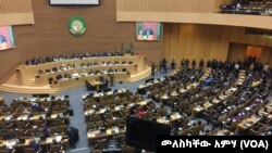 Kikao kilichomalizika cha Umoja wa Afrika nchini Ethiopia, Februari 11, 2019.
