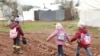 Des enfants syriens déplacés marchent dans la boue près de tentes dans un camp au nord d'Alep, près de la frontière avec la Turquie.
