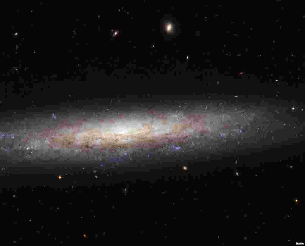 Virgo konstellyatsiyasi