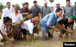 Hun Sen planting rice in 2008. He styles himself as a humble leader of a party representing ordinary Cambodians. REUTERS/Stringer